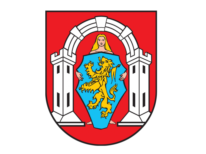Grad Vukovar partner