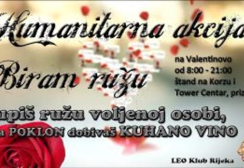 PLAKAT - POZIVNICA ZA BIRAM RUŽU