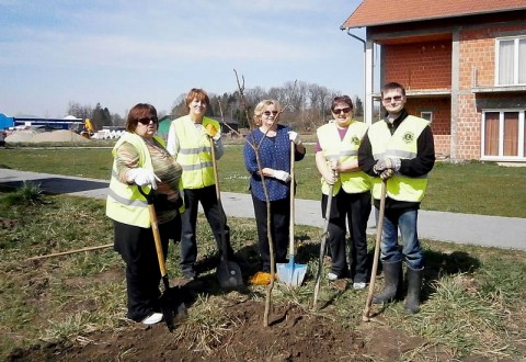 Sadnja Metličaste kerleuterije u Popovači