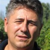 Slika korisnika Siniša Jelkić